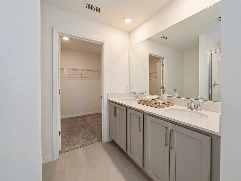 Master Bathroom / Walking Closet