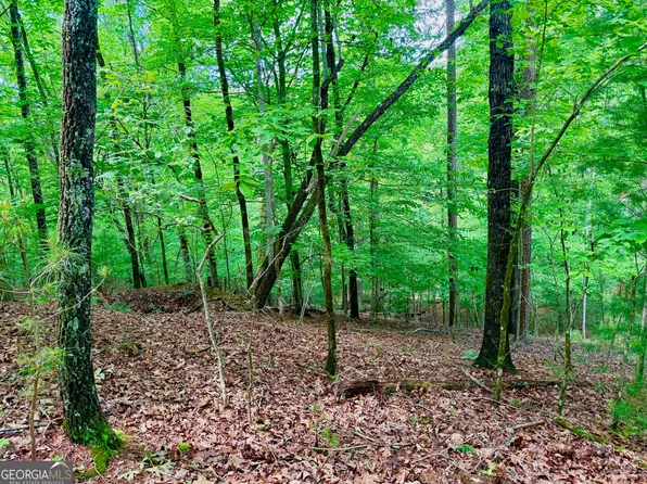 1190 Gibe Ct, Ellijay, GA 30540