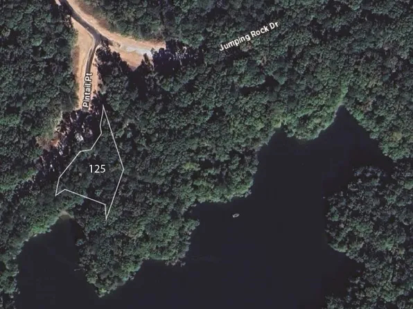 1050 Pintail Point #125, Greensboro, GA 30642