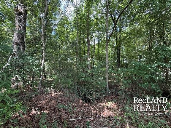 5th image of Cooper Lake Rd