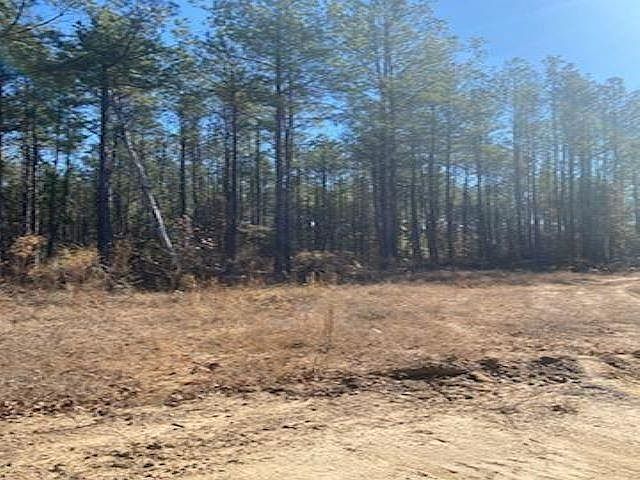 2nd image of (Undisclosed Address)