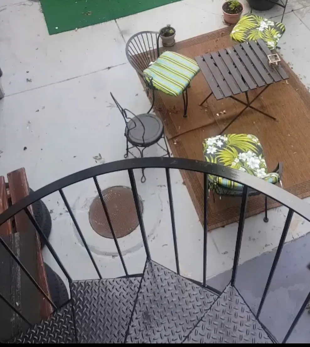 1 bed, 1000 sqft, $1,300 — Photo 2