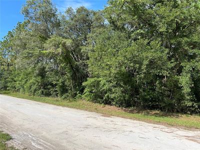 SE 140th Ave Lot 7, Morriston, FL, 32668