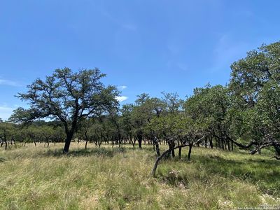 208 saddle wood LOT PT 22, Comfort, TX, 78013