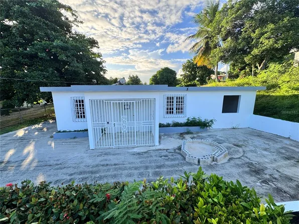 Guardarraya Calle Vista Mar, Patillas, PR 00723