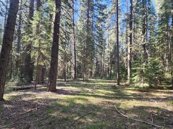 2-B-12 Rocky Ridge Way, McCloud, CA 96057