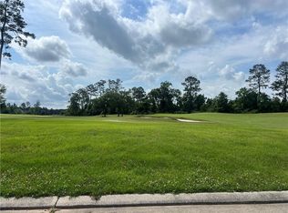 24195 Snowy Egret Cv, Springfield, LA 70462