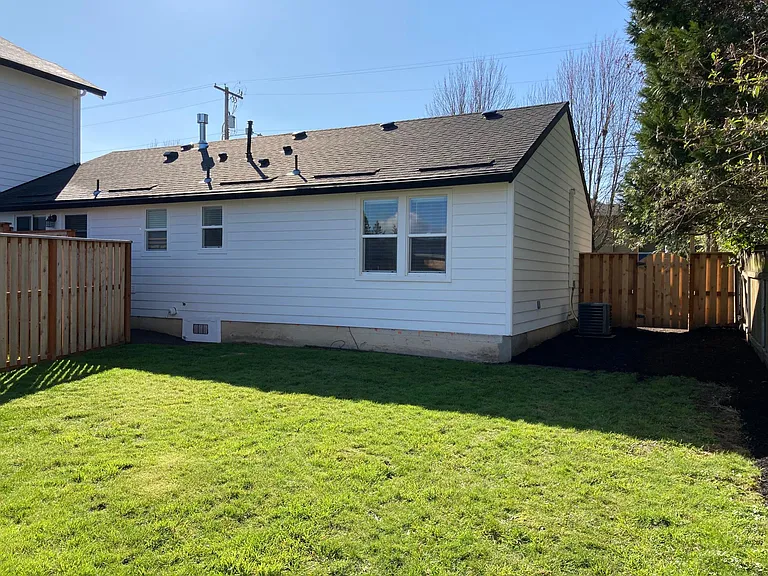 Back yard