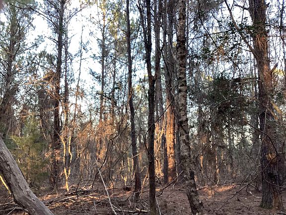 4th image of 20 McIntyre Rd