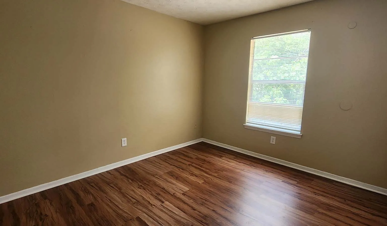 1135 Caliente Dr - 2 — Photo 2