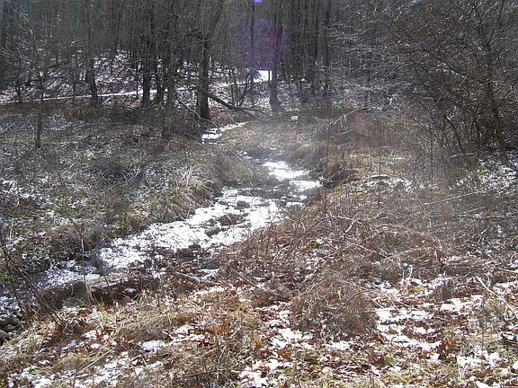 5th image of 1780 Little Valley Rd