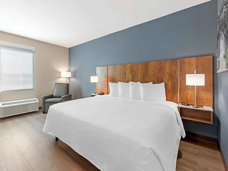 Studio Suite - 1 King Bed