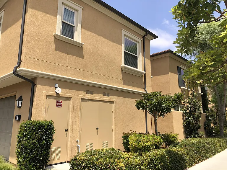 65 Fairymoss — Photo 3