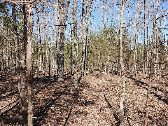 back side of property