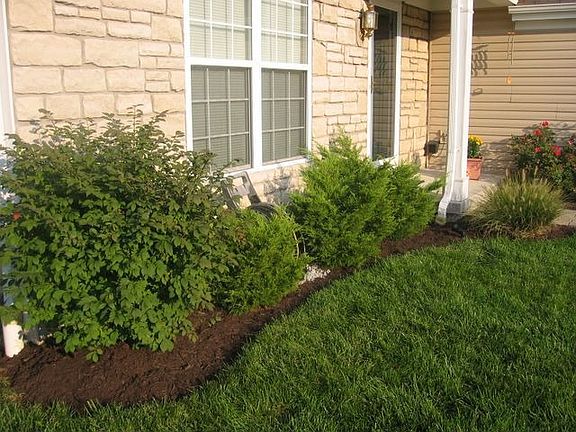 Looking at the front door