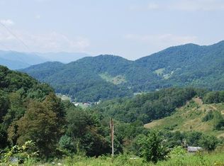 1877 Wilson Cove Rd, Canton, NC 28716