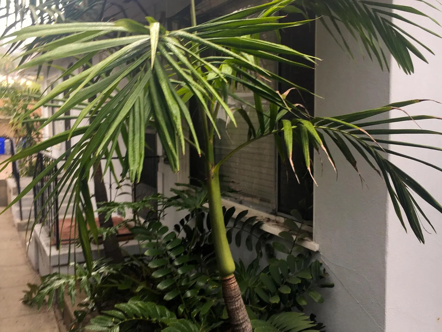 1 bed, 850 sqft, $1,700 — Photo 3