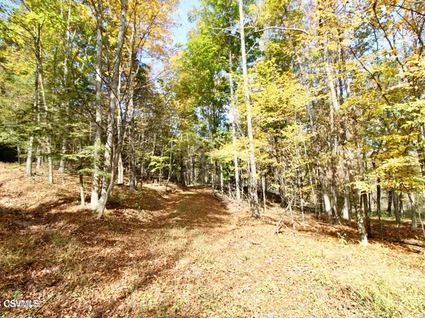 Saddle Rock Rd, Benton, PA 17814