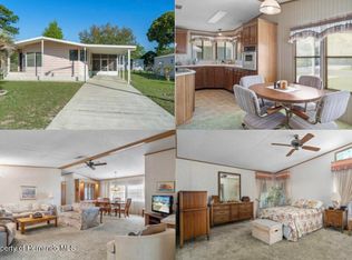 14513 Dehaven Ave, Brooksville, FL 34613