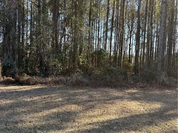 0 Settlers Bluff Rd #30, Folkston, GA 31537