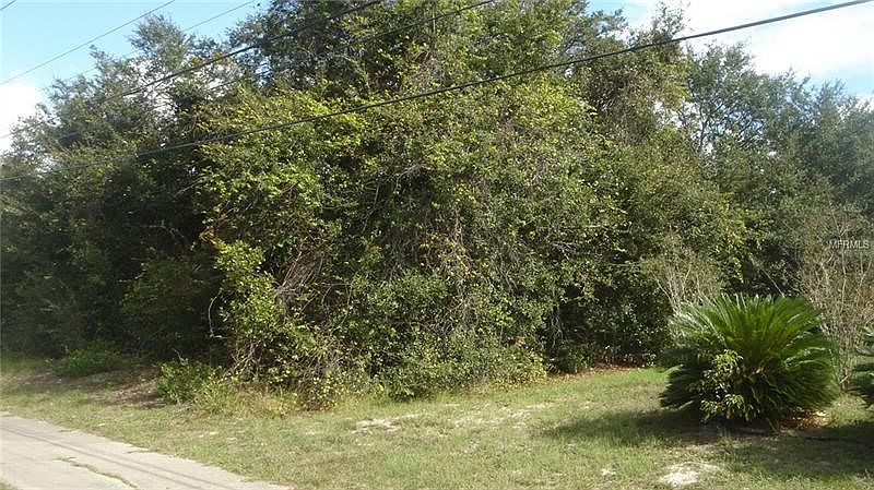 2nd image of 223 Courtland Blvd