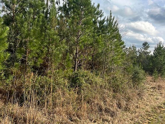 5th image of W Wortham Rd