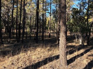 350 N Verbena Ln, Show Low, AZ 85901