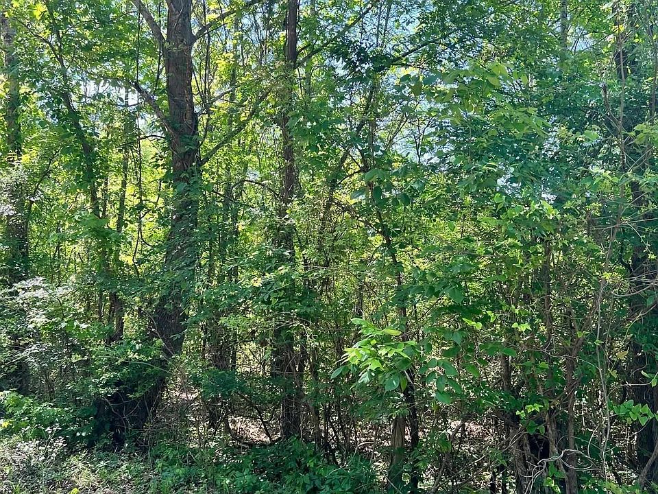 2nd image of 0 County Road 1114