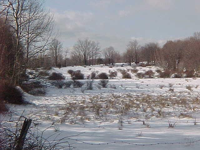 2nd image of Route 447