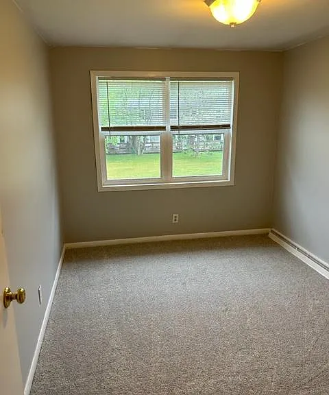 305 Kelly Cir — Photo 18