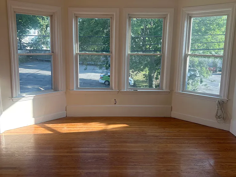 303 Lafayette St #2 — Photo 6