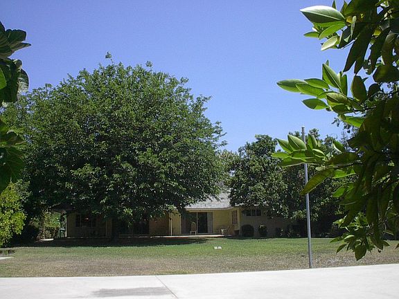 Huge Backyard w/Sports Court