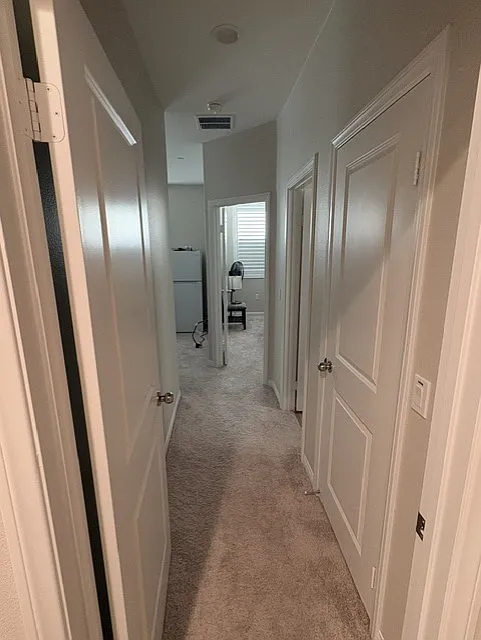 1 bed, 300 sqft, $1,250 — Photo 2