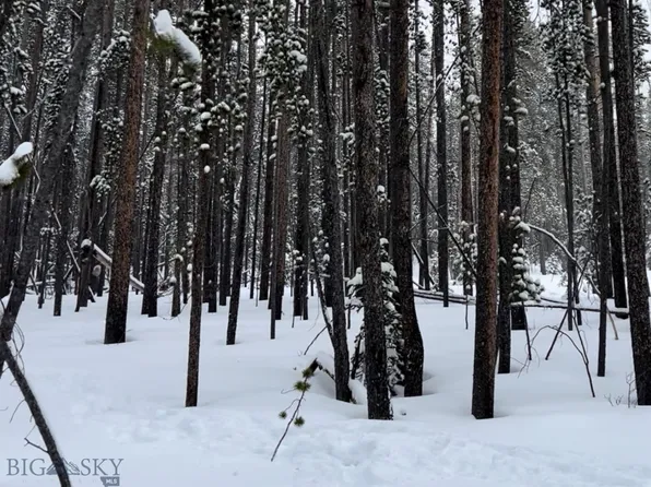 33 Lodgepole Ln W, Anaconda, MT 59711