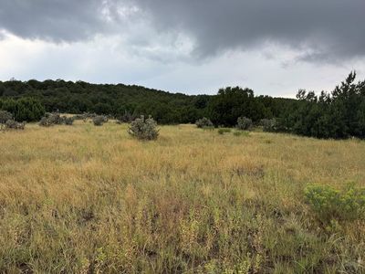 Reins Rd, Walsenburg, CO, 81089