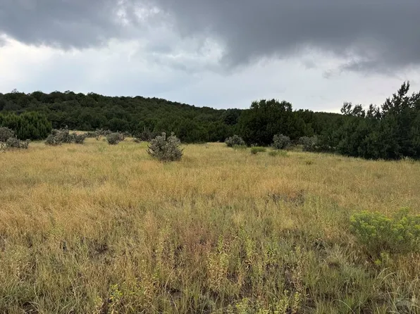 Reins Rd, Walsenburg, CO 81089