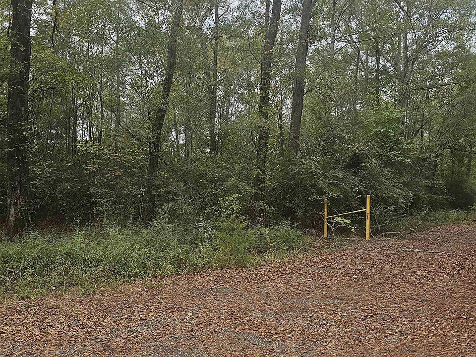 2nd image of County Road 4091