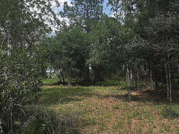 4th image of Winter Haven Dr