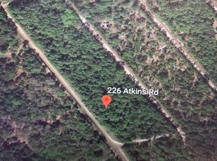 226 Atkins Rd, Georgetown, FL 32139