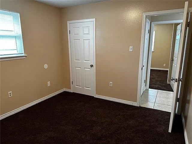 5300 Alpaca Dr — Photo 11