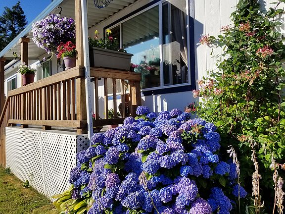 Summer front view