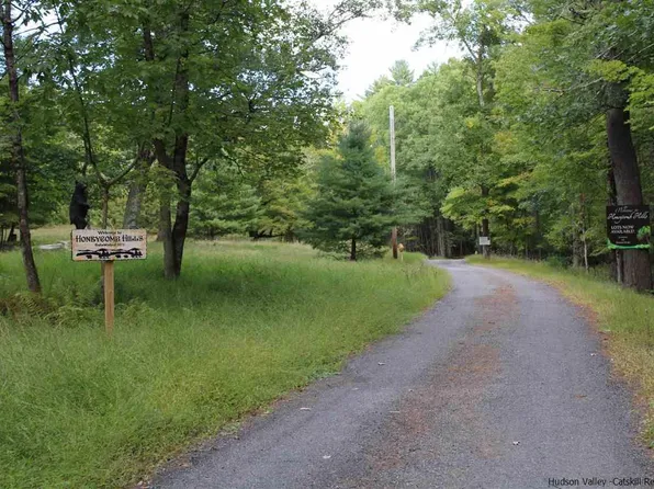 TBD Beehive Road, Accord, NY 12404