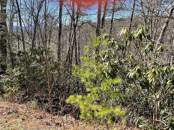 4th image of 3940 Lucerne Way Lot 39-40