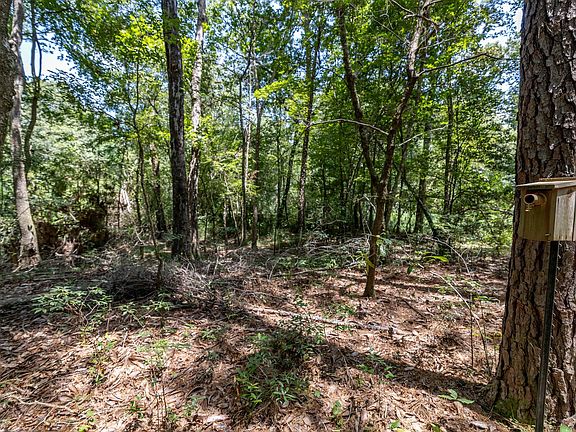 5th image of 1255 Lee Turner Rd