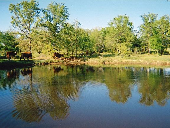 2nd image of 340 County Road 4341