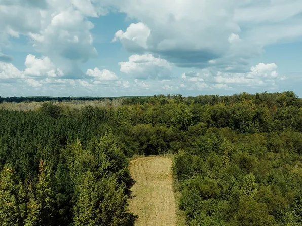 Savage St, Millport, AL 35576