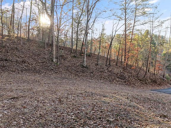 3rd image of 619 Cedar Rd