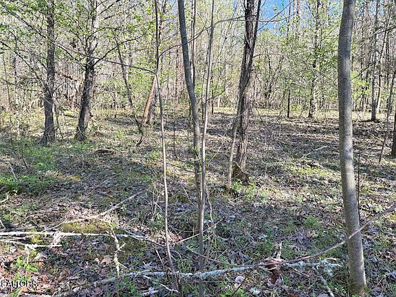 4th image of 1830 Rhea Rd