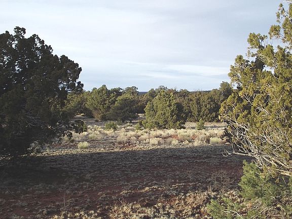 4th image of 8192 Water Tank Cir