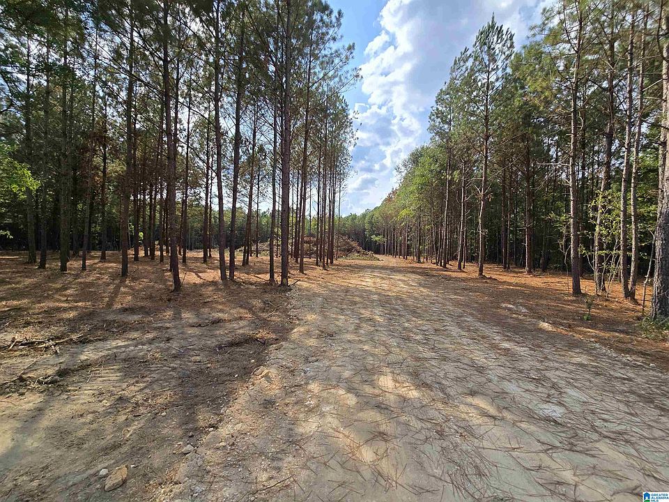 2nd image of Covington Ave SE #16-TRAC1
